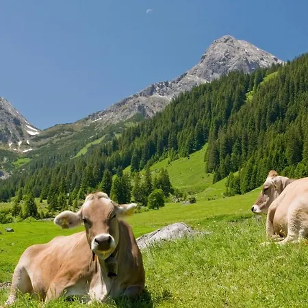 Center Parcs Park Allgaeu Village de vacances Leutkirch im Allgäu