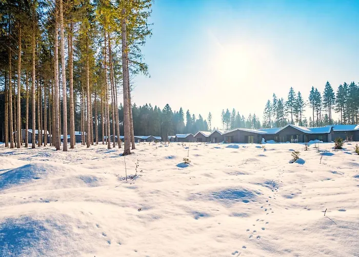 Holiday park Center Parcs Park Allgaeu Leutkirch im Allgau